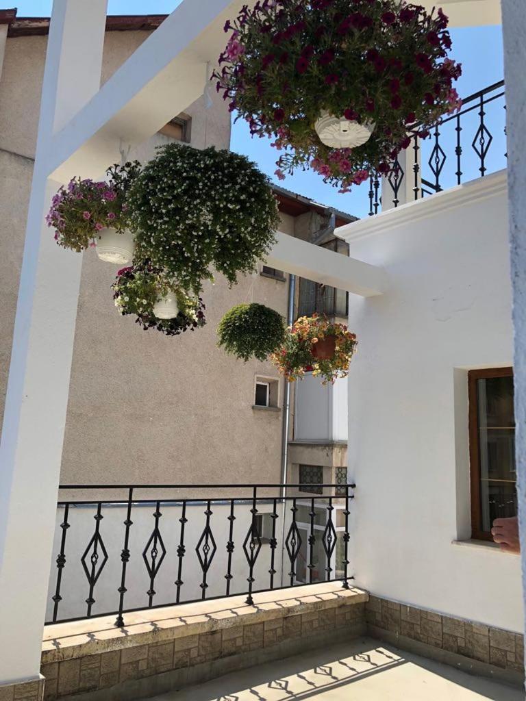Pensiunea Vila Europa Deva Exterior photo