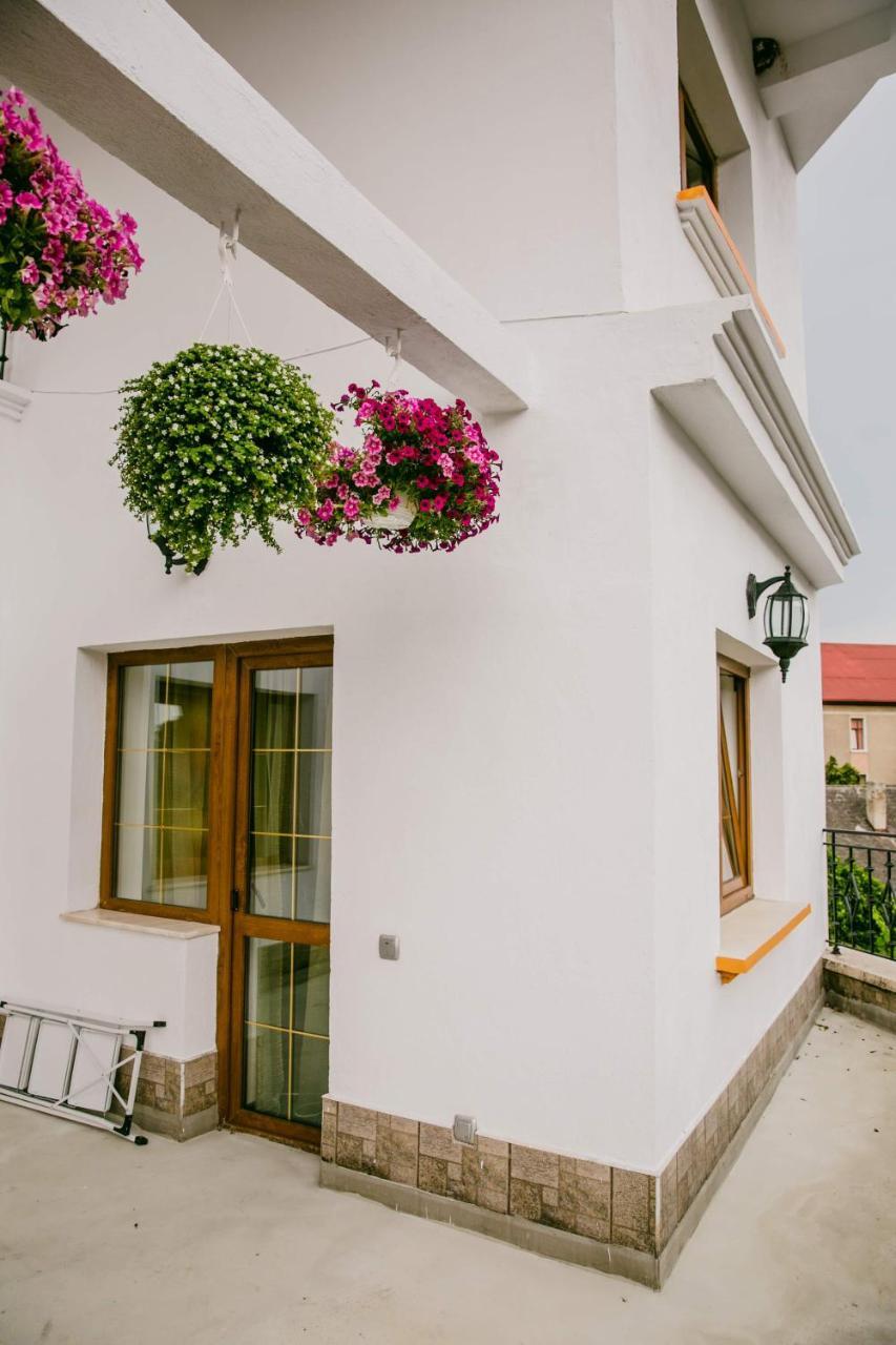 Pensiunea Vila Europa Deva Exterior photo