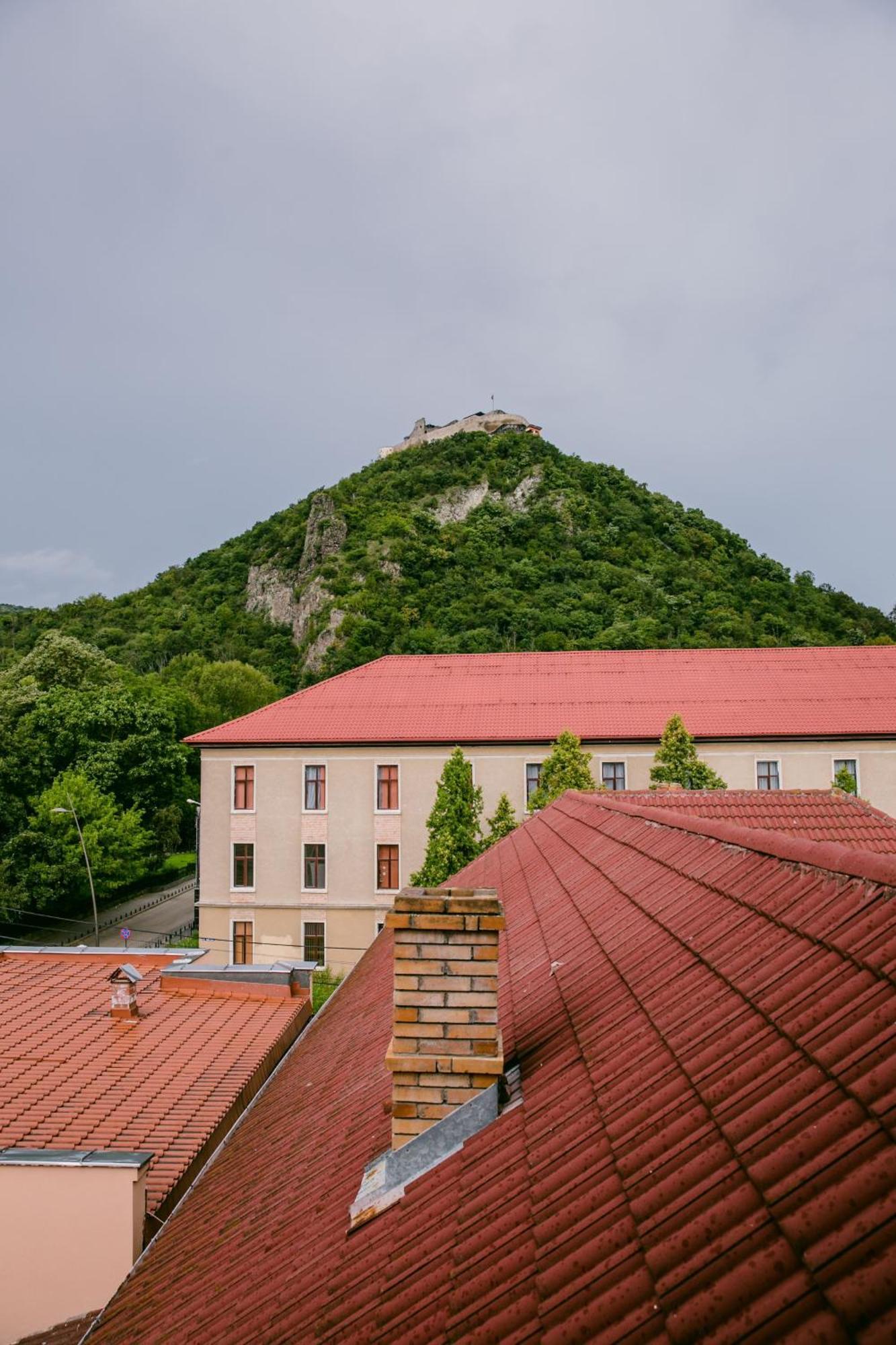 Pensiunea Vila Europa Deva Exterior photo