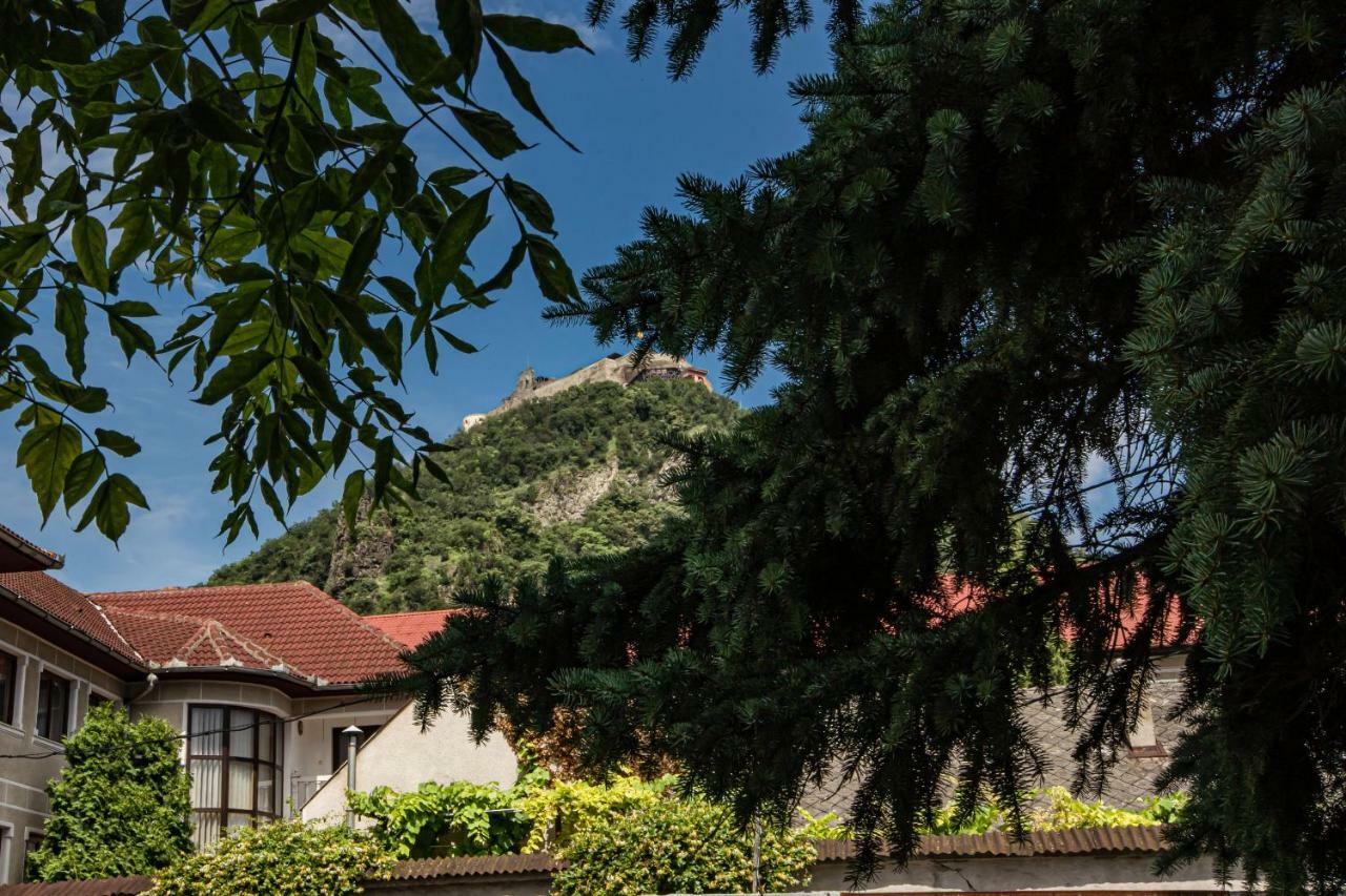 Pensiunea Vila Europa Deva Exterior photo